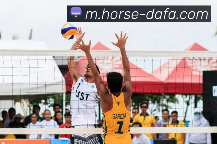 大发娱乐APP 体育赛事宣传图